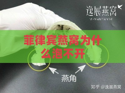 菲律宾燕窝为什么泡不开