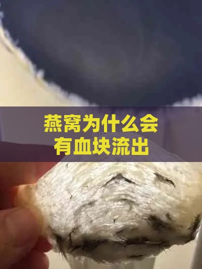 燕窝为什么会有血块流出