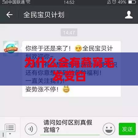 为什么会有燕窝毛发变白