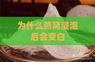 为什么燕窝浸泡后会变白