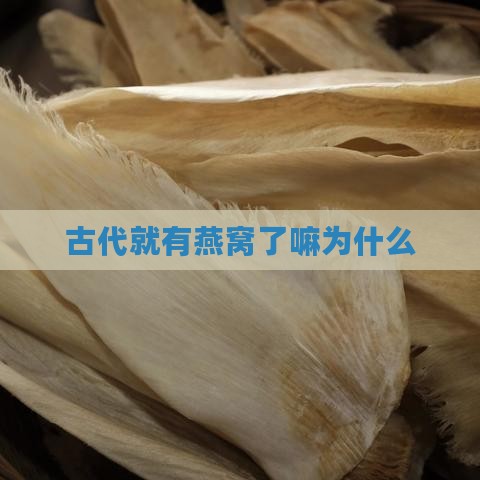 古代就有燕窝了嘛为什么