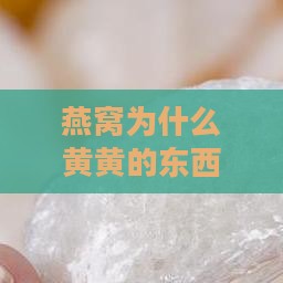 燕窝为什么黄黄的东西呢