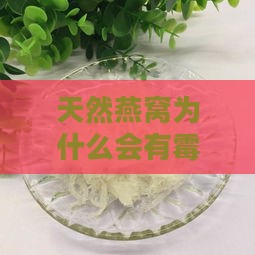 天然燕窝为什么会有霉味