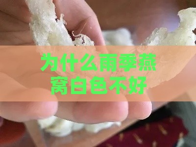 为什么雨季燕窝白色不好