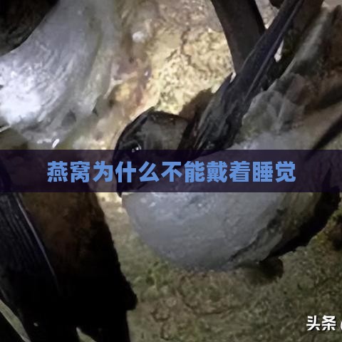 燕窝为什么不能戴着睡觉