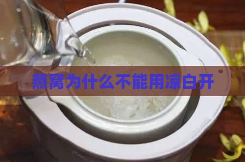 燕窝为什么不能用凉白开