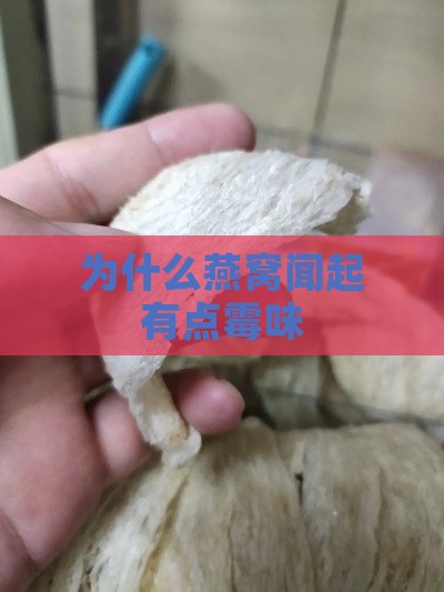 为什么燕窝闻起有点霉味