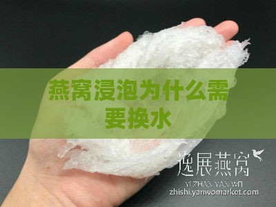 燕窝浸泡为什么需要换水