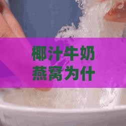 椰汁牛奶燕窝为什么结块