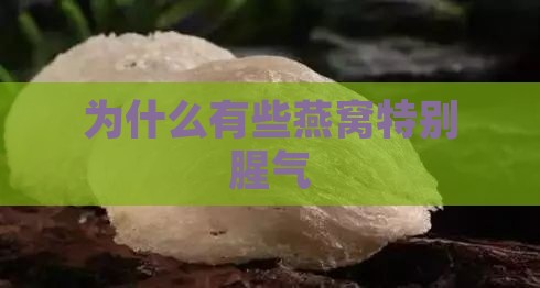 为什么有些燕窝特别腥气