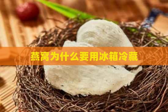 燕窝为什么要用冰箱冷藏