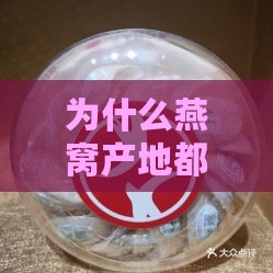 为什么燕窝产地都是印尼