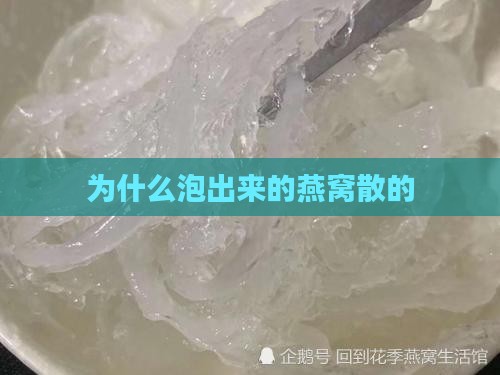 为什么泡出来的燕窝散的