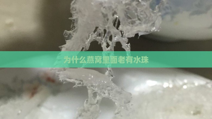 为什么燕窝里面老有水珠