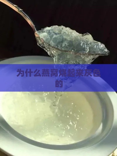 为什么燕窝烧起来灰色的