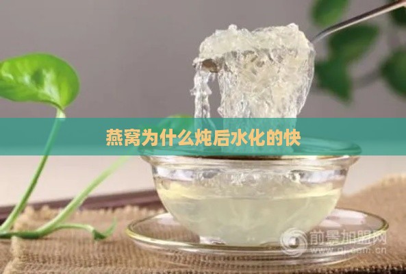 燕窝为什么炖后水化的快