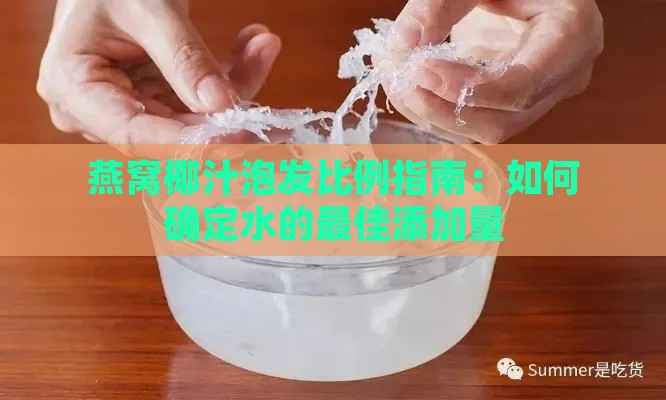 燕窝椰汁泡发比例指南：如何确定水的更佳添加量