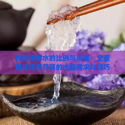 炖燕窝时水的比例与用量：全面解析炖煮燕窝的水量需求与技巧