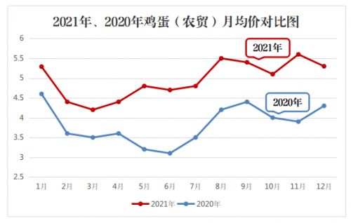 2023年日照燕窝市场最新行情：一斤燕窝价格大揭秘