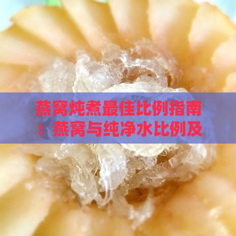 燕窝炖煮更佳比例指南：燕窝与纯净水比例及炖煮技巧全解析