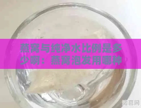 燕窝与纯净水比例是多少啊：燕窝泡发用哪种纯净水及其比例解析