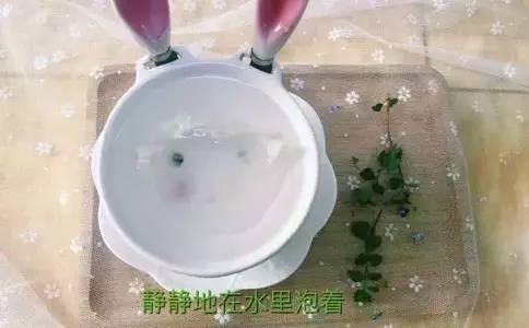 加热燕窝更佳水温及水量探究：泡发燕窝用多少度水加热更好喝且口感更佳