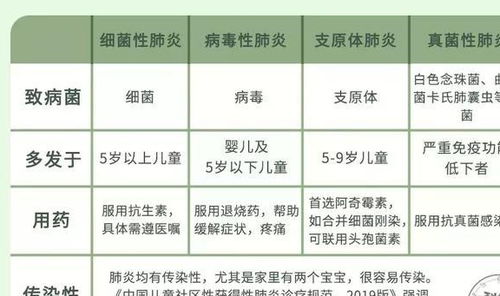 燕窝食用频率指南：每周几次最适宜及长期食用效果分析