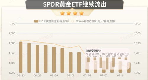 最新市场调查：黄燕窝每克价格详情解析