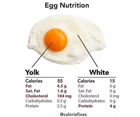 鸡蛋重量解析：不同大小鸡蛋的克数与重量对比指南