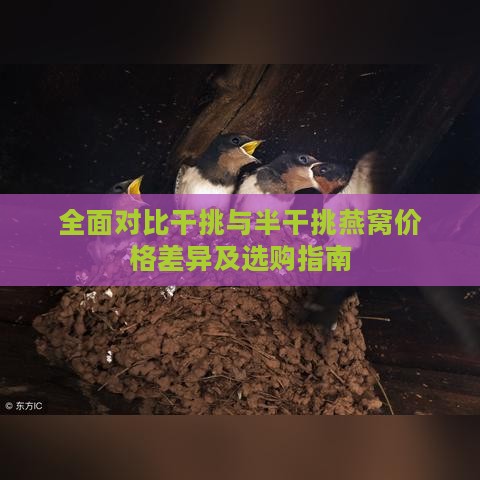 全面对比干挑与半干挑燕窝价格差异及选购指南