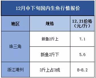 2023年燕窝市场价格盘点：一斤燕窝最新价格一览