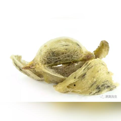 自己炖的燕窝炖好是什么样子的，如何食用及保存，与市售炖好燕窝的比较？