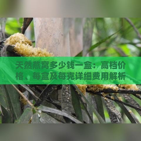 天然燕窝多少钱一盒：高档价格、每盒及每克详细费用解析