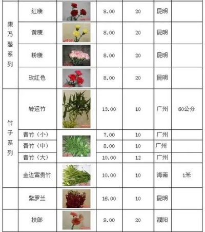 '探索市场：草本植物养生盒装价格一览'