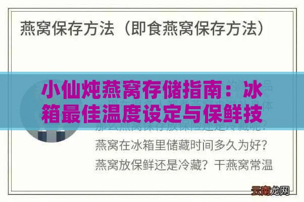 小仙炖燕窝存储指南：冰箱更佳温度设定与保鲜技巧全解析