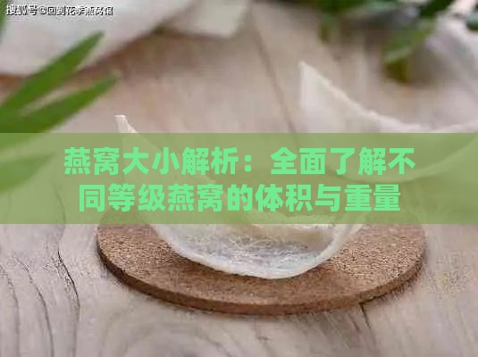 燕窝大小解析：全面了解不同等级燕窝的体积与重量