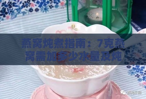 燕窝炖煮指南：7克燕窝需加多少水量及炖煮技巧解析