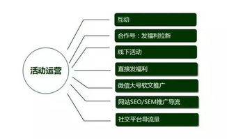 全年食用燕窝成本解析：一年下来究竟需要投入多少资金