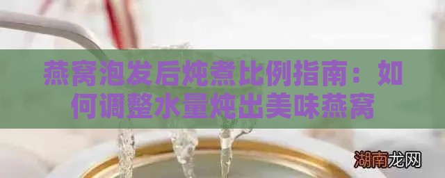 燕窝泡发后炖煮比例指南：如何调整水量炖出美味燕窝