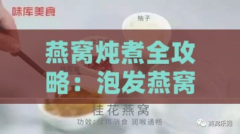 燕窝炖煮全攻略：泡发燕窝炖制时水量掌握与炖煮技巧解析