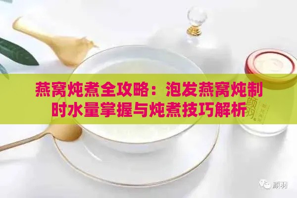 燕窝炖煮全攻略：泡发燕窝炖制时水量掌握与炖煮技巧解析