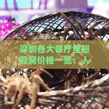 深圳各大餐厅鱼翅燕窝价格一览：人均消费与性价比分析