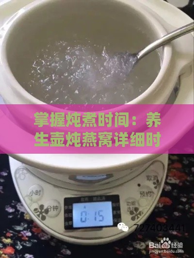 掌握炖煮时间：养生壶炖燕窝详细时长指南