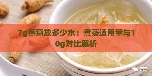 7g燕窝放多少水：煮蒸适用量与10g对比解析