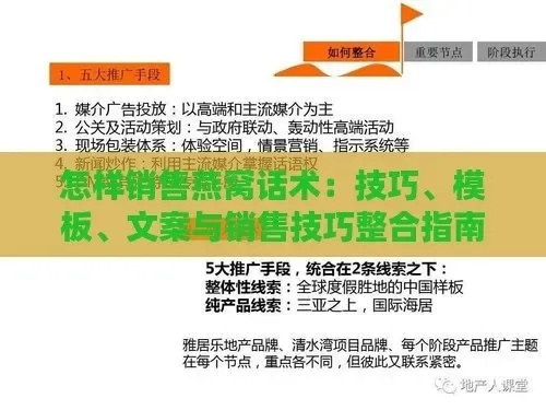 燕窝品鉴活动策划方案：主题、范文、完整策划模板与实施要点