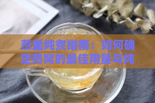 燕盏炖煮指南：如何确定燕窝的更佳用量与炖制时间