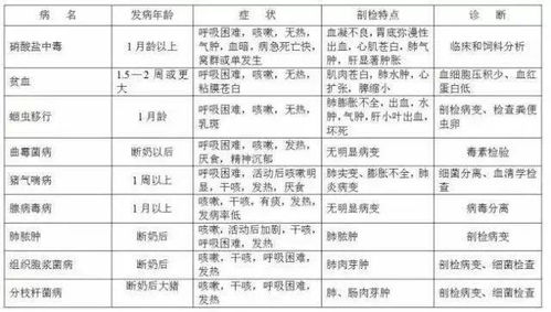 全面揭秘：溯源燕窝的真伪鉴别与选购指南