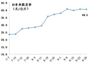 2023年最新燕窝批发价格一览：市场行情与选购指南