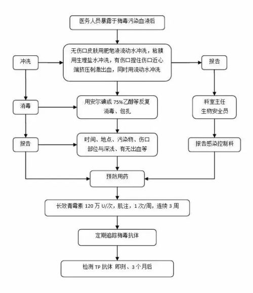 燕窝进口手续：办理流程、所需手续及税率详解