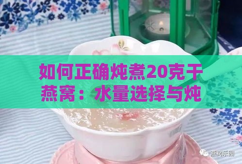 如何正确炖煮20克干燕窝：水量选择与炖煮技巧全解析